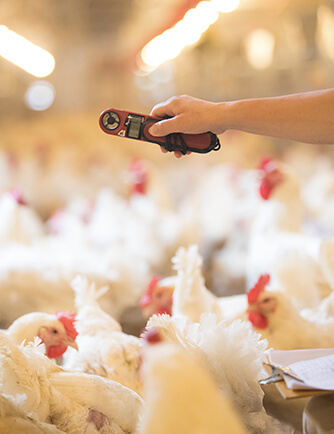 乐天堂·fun88(中国区) - 官方网站