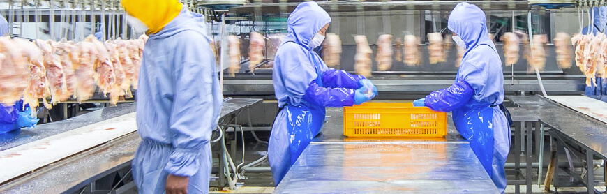 乐天堂·fun88(中国区) - 官方网站