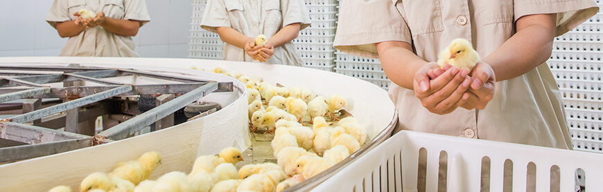 乐天堂·fun88(中国区) - 官方网站