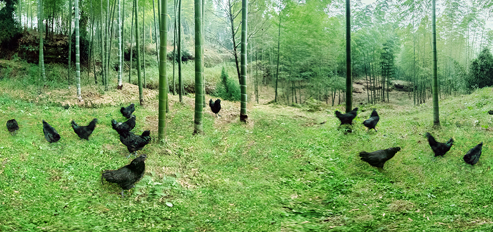 乐天堂·fun88(中国区) - 官方网站