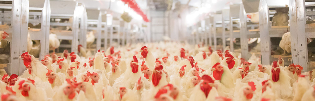 乐天堂·fun88(中国区) - 官方网站